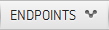 Endpoints Icon